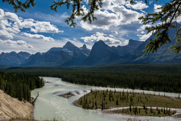istock Rocky Mountains. Canada. Icefields parkway, Sunwapta river 1337622444