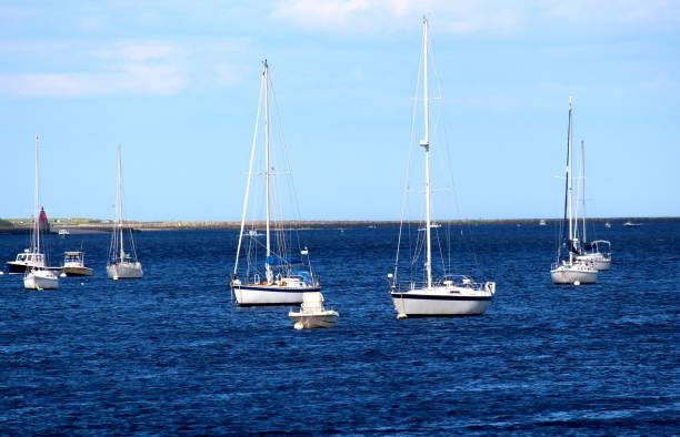 istock Anchored in the bay 1337623953