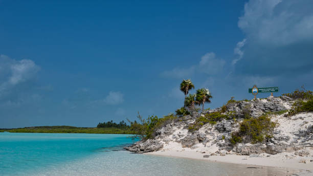Moriah Harbour Cay National Park The Moriah Harbour Cay National Park in Hartswell Exuma, Bahamas. exuma stock pictures, royalty-free photos & images
