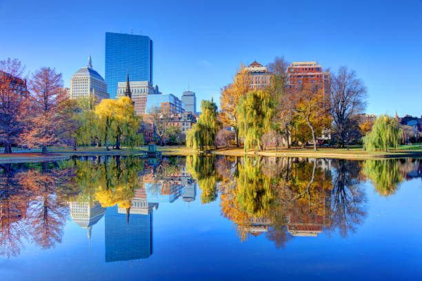 istock Autumn in the Boston Public Garden 1337625047