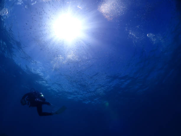 istock The bottom of Ishigakijima 1337625378