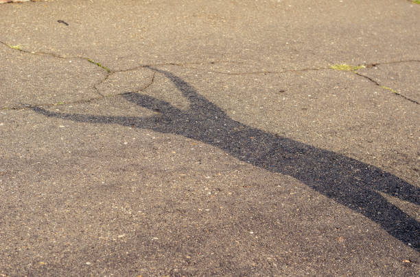istock A shadow with his hands in the air on the asphalt. A female silh 1337626433