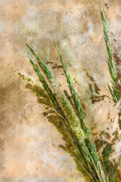 istock Green bouquet of meadow grasses and ears. Random herbs against a 1337626628