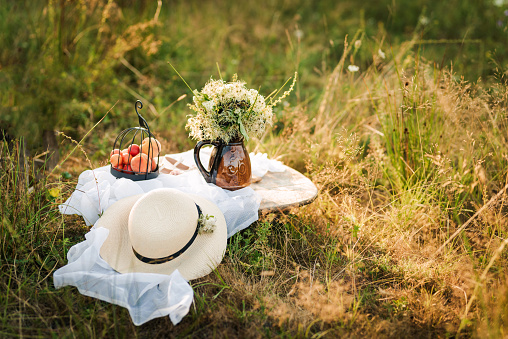 Picnic in the nature concept.
