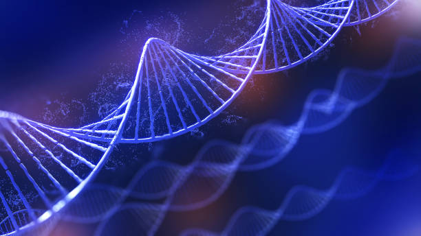 istock Conceptual background illustration of DNA structure,Genetic editing technology for life,dna, 1337633815