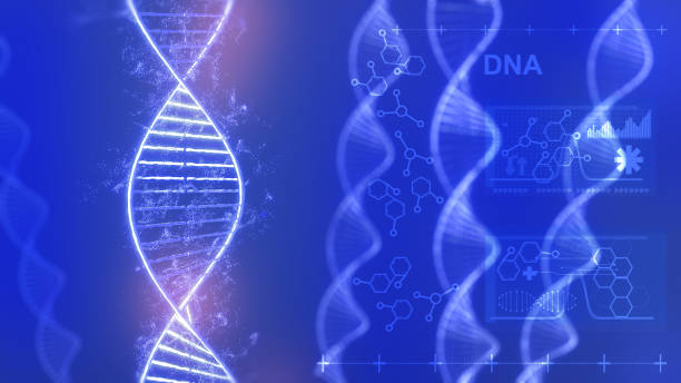 istock Conceptual background illustration of DNA structure,Genetic editing technology for life,dna 1337633860