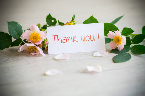 istock beautiful pink small roses on a wooden table. 1337635204