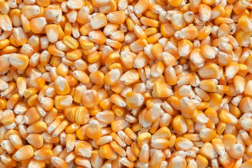 Full Frame Shot Of Corn Kernels