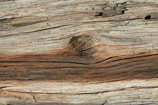 Abstract Detail Of A Wavy Split Wood