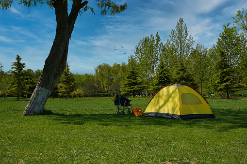 Camping on the grass