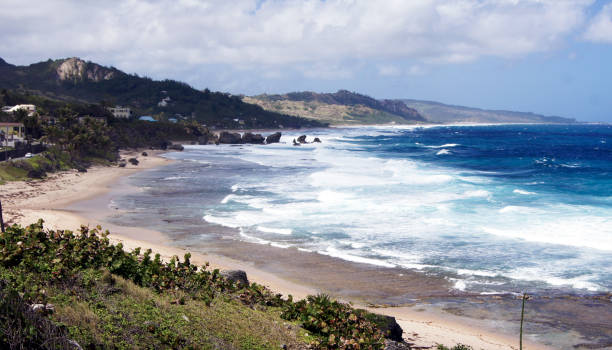 istock Basheba, east coast, island of Barbados 1337640870
