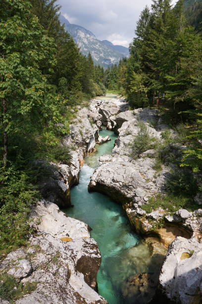 istock Stunning view on the turquoise Soca River 1337642742