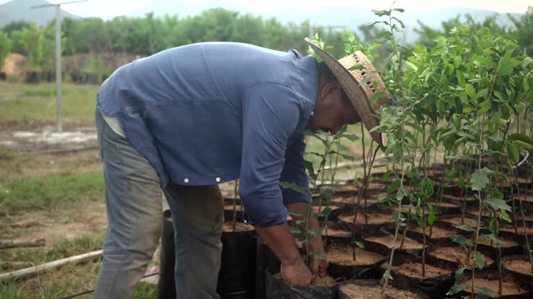 Latin man worker making hole with stick for replanting