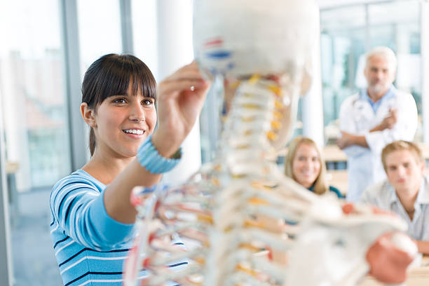 médicos de estudiantes y profesor con el esqueleto - anatomy classroom human skeleton student fotografías e imágenes de stock