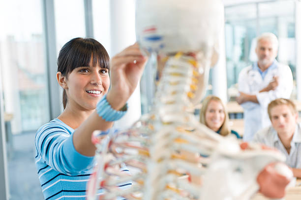 Medical students and professor with skeleton stock photo