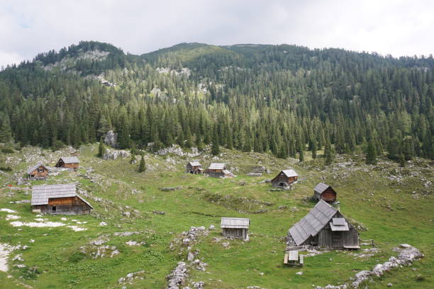 istock Mountain Huts on the Seven Lakes Valley Hike 1337646974