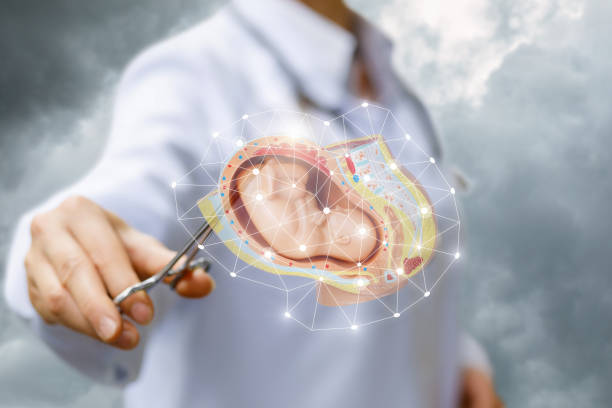 istock The concept of surgery during pregnancy. 1337647213