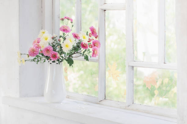 istock chrysanthemums in  vase on  windowsill in autumn 1337649577