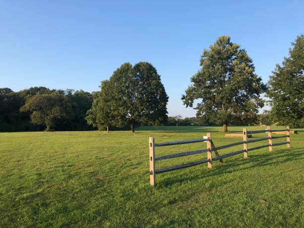 istock Fence in Front of a Grassy Field at Caumsett State Park 1337650778