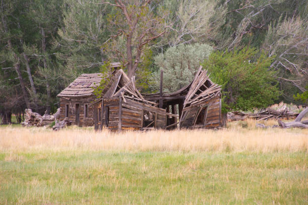 Abandoned move set from the 1950’s