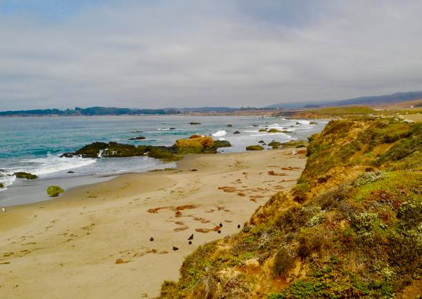 istock Central Coast of California 1337652650