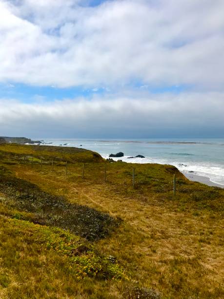 istock Central Coast of California 1337652651