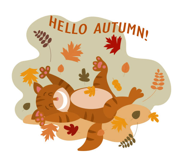 ilustraciones, imágenes clip art, dibujos animados e iconos de stock de un lindo gato atigrado sonríe y se baña en las hojas caídas de otoño - equinoccio de otoño