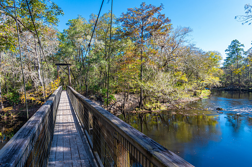 A wooden footbridge crossing a creek in the woods during spring.