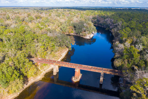 istock Aerial View of Suwannee River Bridges 1337661683