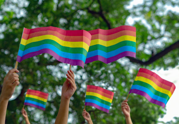 istock LGBTQ+ rainbow flag 1337665173