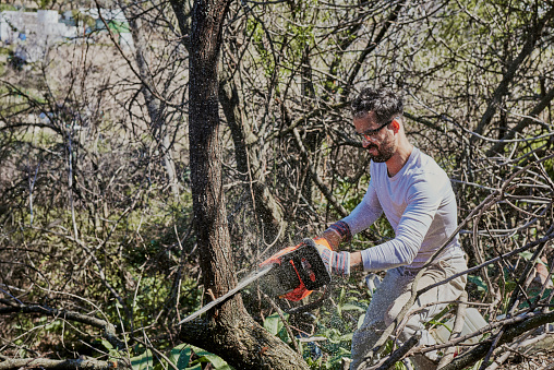 man felling a forest with an electric chainsaw