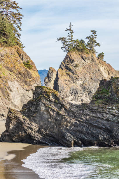 istock Sea stacks at Secret Beach. 1337669744