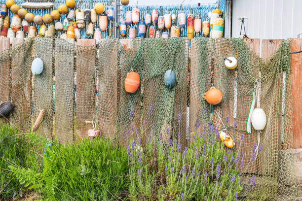 Coos Bay, Oregon, USA. Fishing net and crab trap floats on a fence.