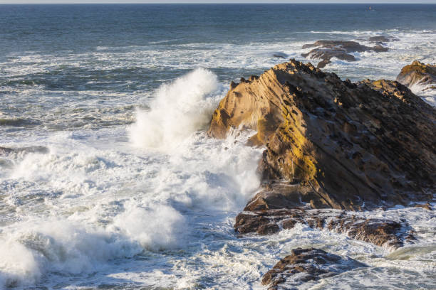 istock Surf crashing on cliffs on the Oregon coast. 1337673112