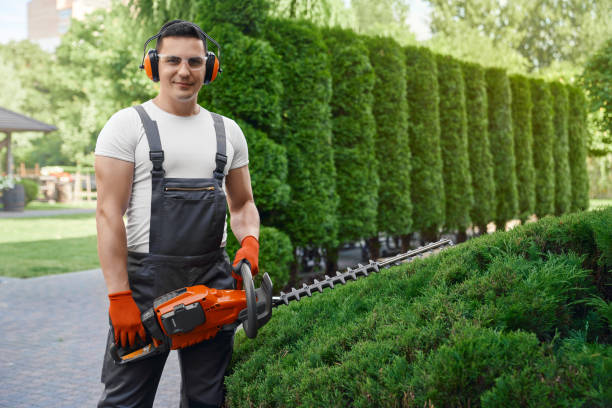 istock Man posing at garden with electric trimmer in hands 1337673134