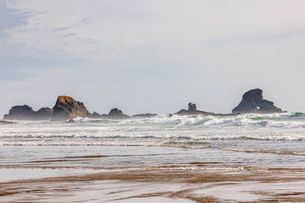 istock Sea stacks and surf at Ecola State Park on the Oregon coast. 1337673523