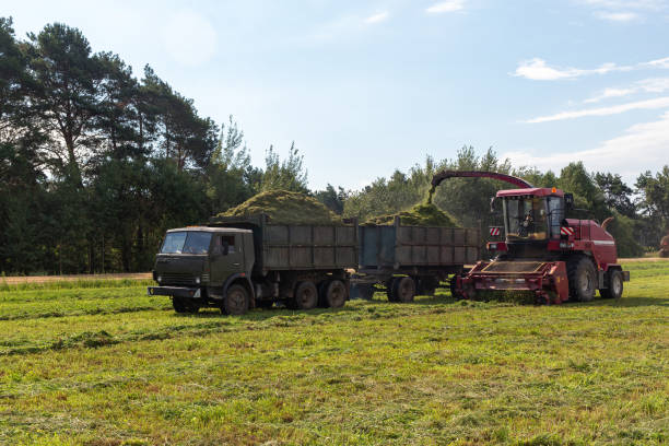 istock Combine harvesting a green field 1337679513