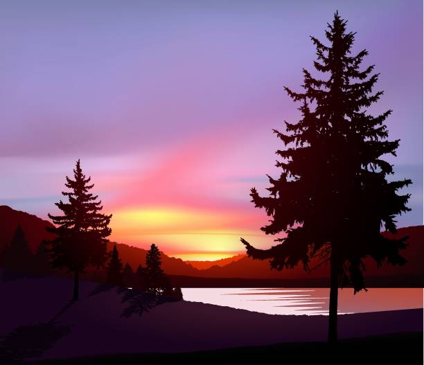 Nature background Northern lights in wild terrain with lake (river) and pine forest. silhouette evergreen tree back lit pink stock illustrations