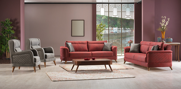 modern furnitured living room