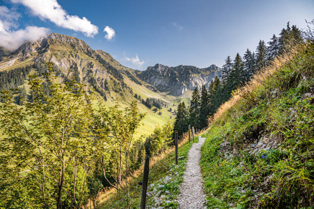 hiking trail in the swiss alps - fribourg canton imagens e fotografias de stock