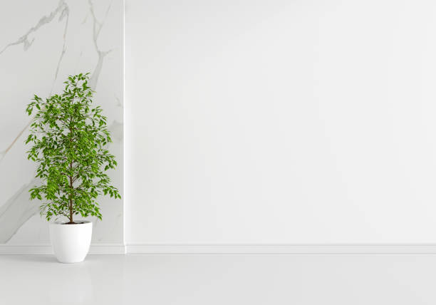 istock Green plant in white living room with copy space, 3D rendering 1337686379