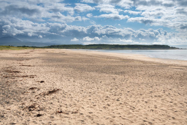 istock Looking east on Carradale Bay Beach in Argyll and Bute, Scotland 1337687588