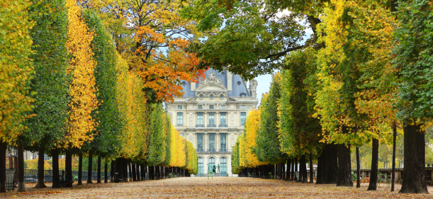 Paris, France- April 10, 2010: Paris is the center of French economy, politics and cultures and the top travel destinations in the globe.  It attracts the tourists all over the world.  Here is the garden inside Chateau de Versailles.