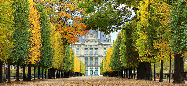 outono em paris - scenics pedestrian walkway footpath bench imagens e fotografias de stock