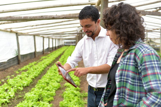 istock woman farmer with seller 1337692234