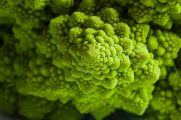 романеско брокколи - romanesco broccoli стоковые фото и изображения