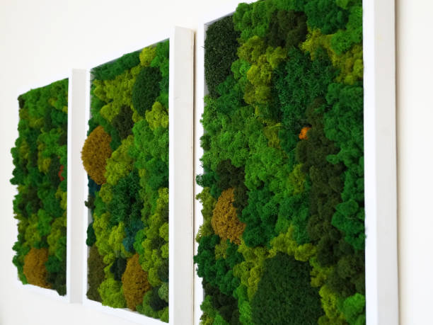 istock multicolored decorative preserved preserved moss as wall decor, eco-design concept, live vertical gardening 1337692939