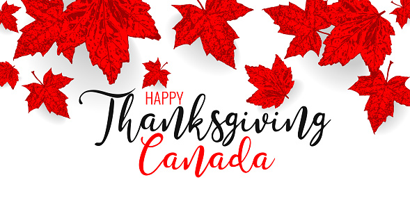 Canada happy Thanksgiving day. Falling maple red leaves pattern for design banner, poster, greeting card for national canadian holiday. Red color leaf vector wallpaper illustration