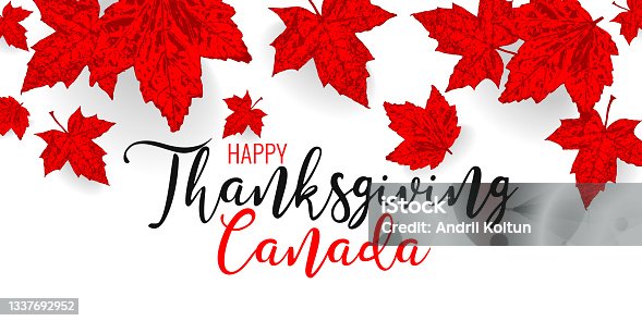 istock Canada happy Thanksgiving day. Falling maple red leaves pattern for design banner, poster, greeting card for national canadian holiday. Red color leaf vector wallpaper illustration 1337692952
