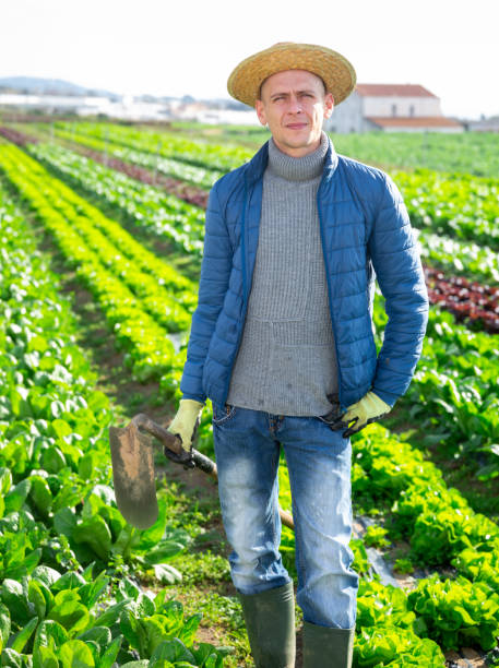 istock Man with gardening chopper standing outdoors 1337693843